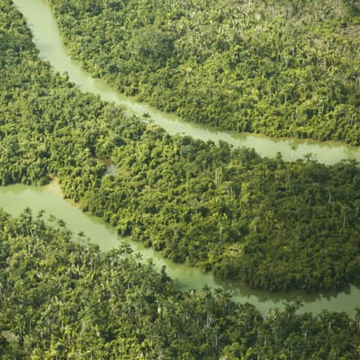 Monkey River