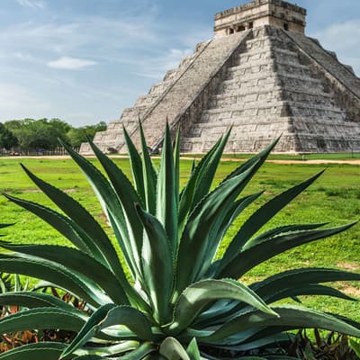 Les ruines mayas