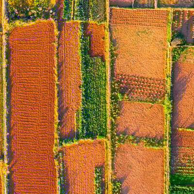 La plaine de Stari Grad