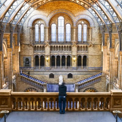 Les musées