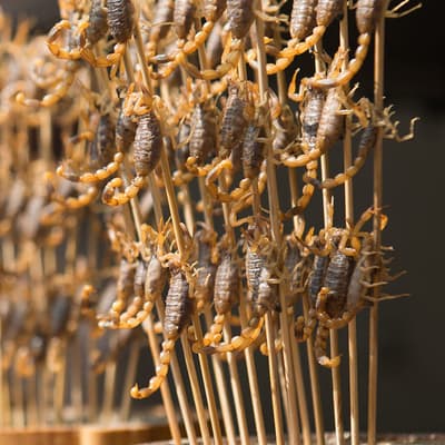 La Wangfujing Snack Street