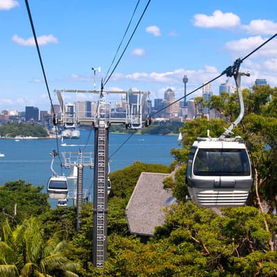 Taronga Zoo et Sea Life Sydney Aquarium