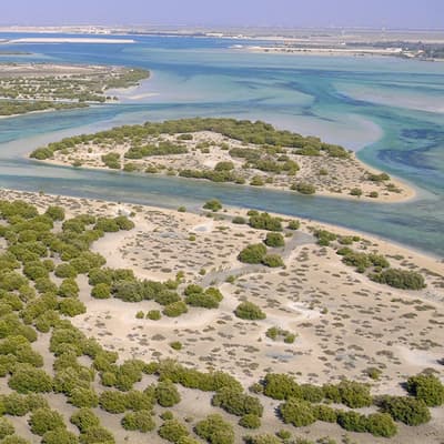 Le Parc National des Mangroves
