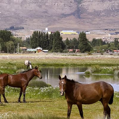 El Calafate