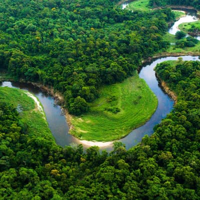 L’Amazonie