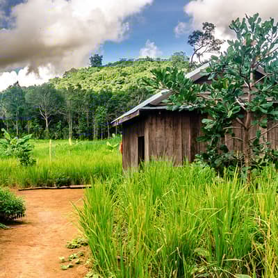 Le Mondulkiri