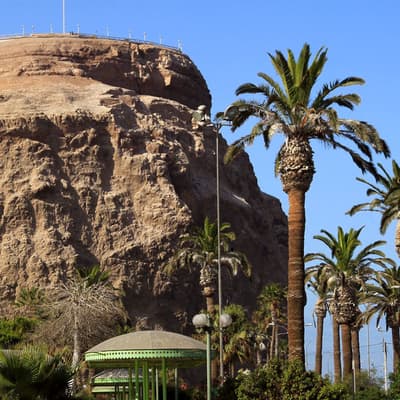 Arica