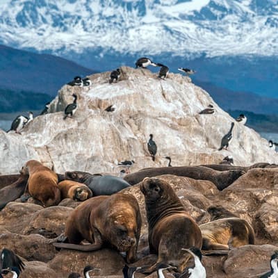 La province « Tierra del Fuego »