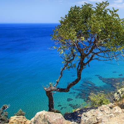 Péninsule d’Akamas