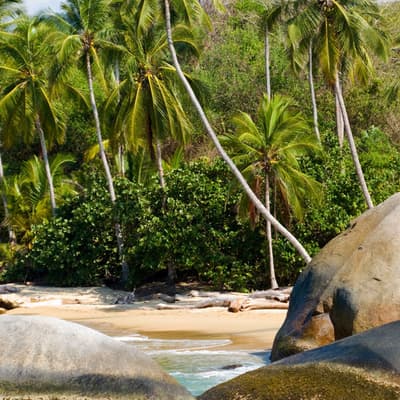 Le Parc Naturel de Tayrona