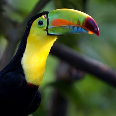 La Sierra Nevada de Santa Marta