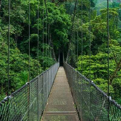 Monteverde 