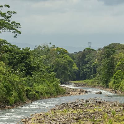 La vallée de Sarapiquí