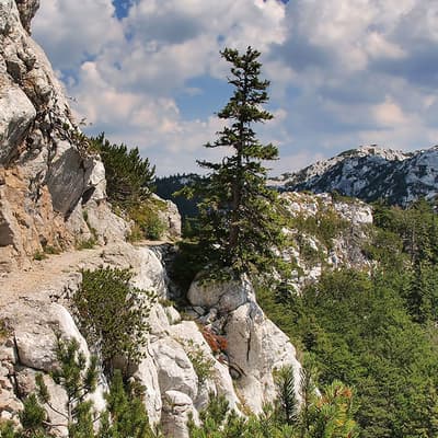 Velebit