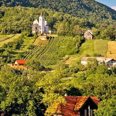 Plesivica