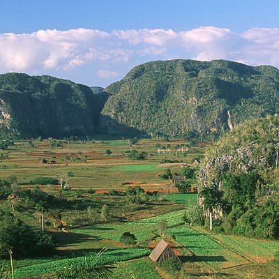 La vallée de Viñales