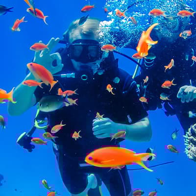 La mer Rouge