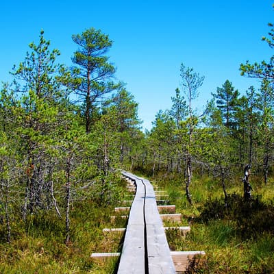 Le Parc National de Lahema