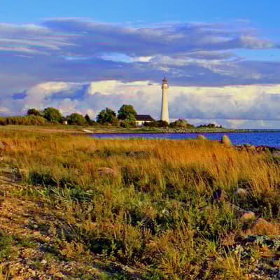 Kihnu