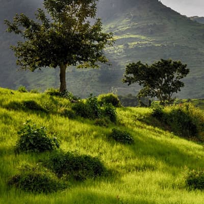 Le Parc National du Simien