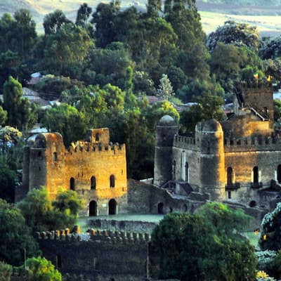 Gondar