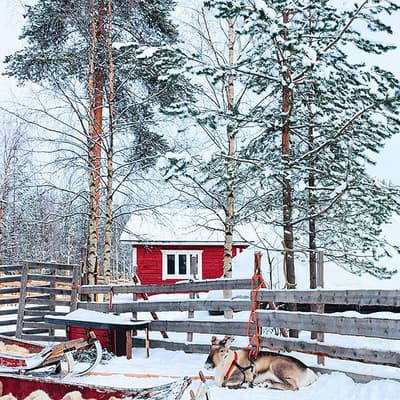 Rovaniemi