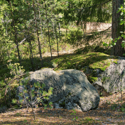 Le Parc national de Nuuksio