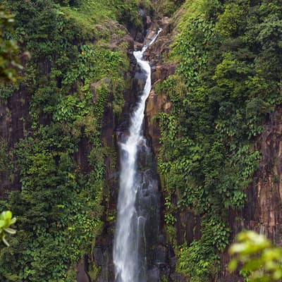 Le Parc National de Guadeloupe