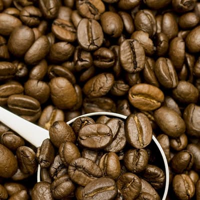 Le musée du café