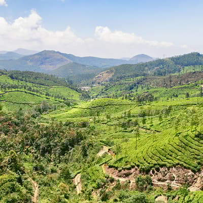 Les Ghats occidentaux