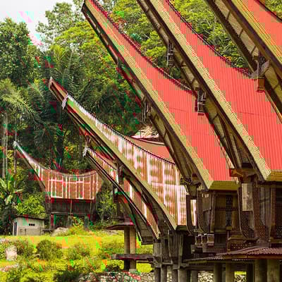 Sulawesi