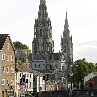Cork