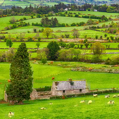 Le Donegal