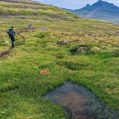 La réserve Naturelle d’Hornstrandir