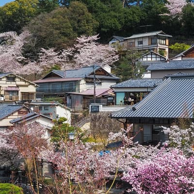 L’île Itsukushima