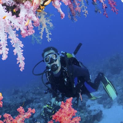 La mer Rouge (Aqaba)