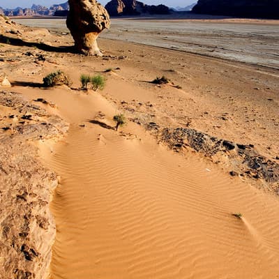 Le Wadi Rum