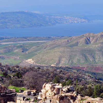 La cité d'Umm Qais