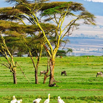 La Rift Valley