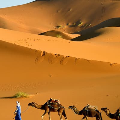 Ouarzazate