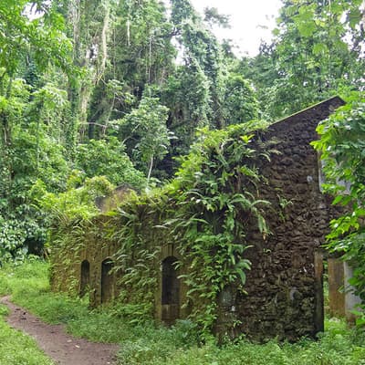 La randonnée allant de l’Anse Couleuvre à Grand-Rivière