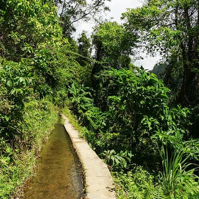 Canal de Beauregard