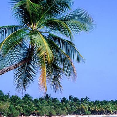 Plage des Salines