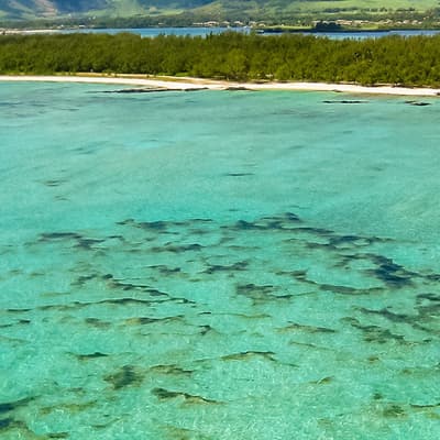 L'Île aux cerfs