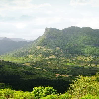 Le parc national des gorges de la Rivière Noire