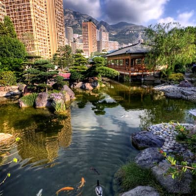 Le jardin japonais