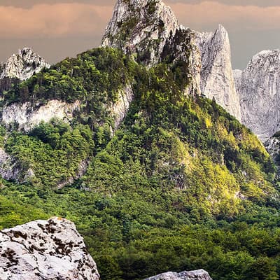 Cetinje