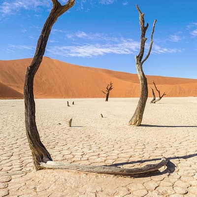 Le Désert du Namib