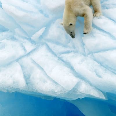 Les îles du Svalbard