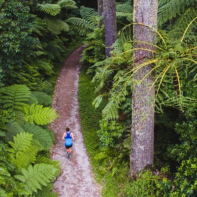 Rotorua